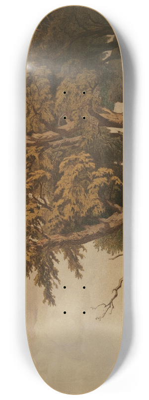 Edmund Kanoldt - Eichen 8.25 inch art skate deck