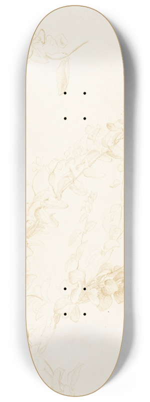 Edward John Poynter - Honeysuckle 8.25 inch art skate deck