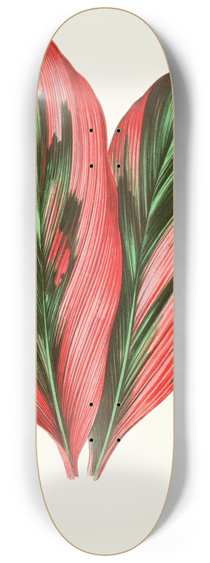Edward Joseph Lowe - Dracaena Terminalis 8.25 inch art skate deck