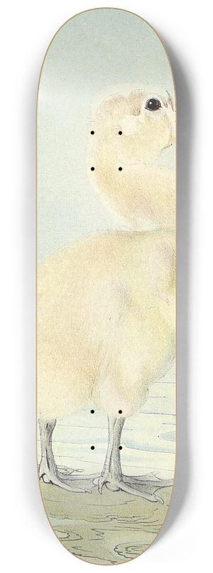 Edward Julius Detmold - The Cygnet 8.25 inch art skate deck