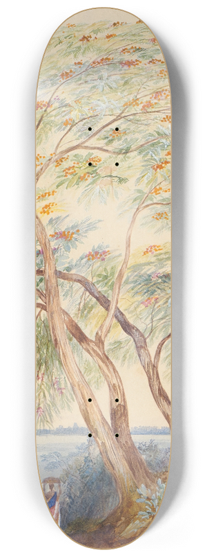 Edward Lear - Tree Study, Trichinopoly, India 8.25 inch art skate deck