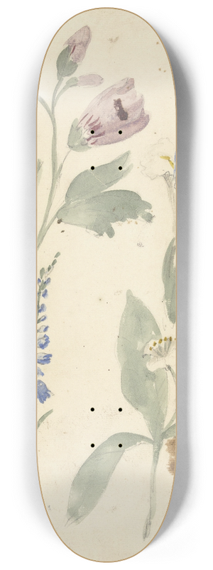 Elias van Nijmegen - Studies van bloemen waaronder een iris 8.25 inch art skate deck