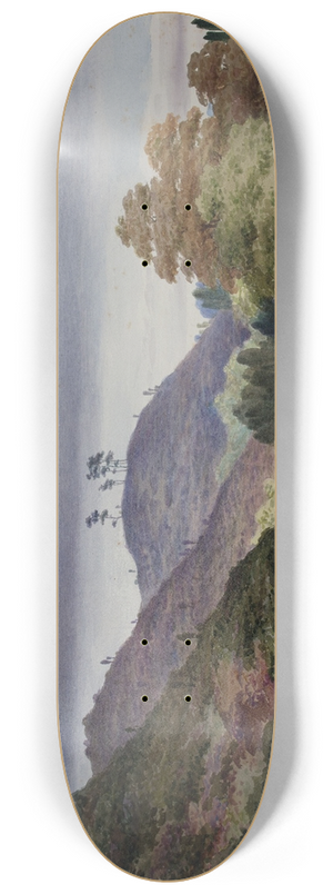 Elijah Walton - Cofton Hill 8.25 inch art skate deck