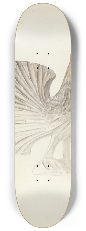 Elisabeth Fulda - Rooster 8.25 inch art skate deck