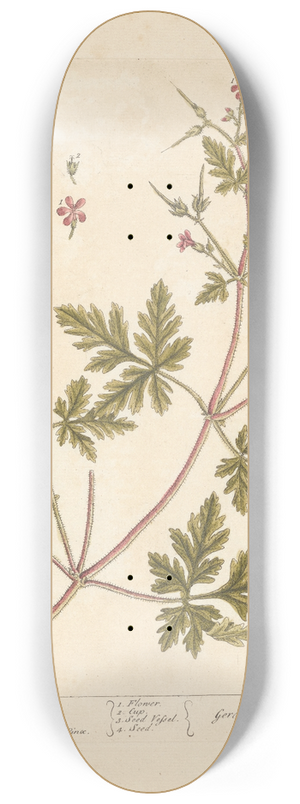 Elizabeth Blackwell - Herb Robert 8.25 inch art skate deck