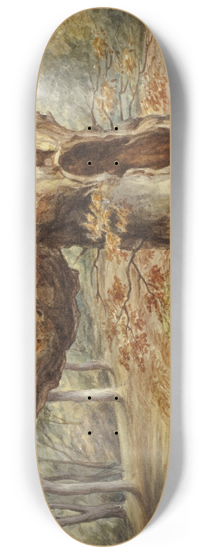 Elizabeth Murray - Rotting Tree 8.25 inch art skate deck