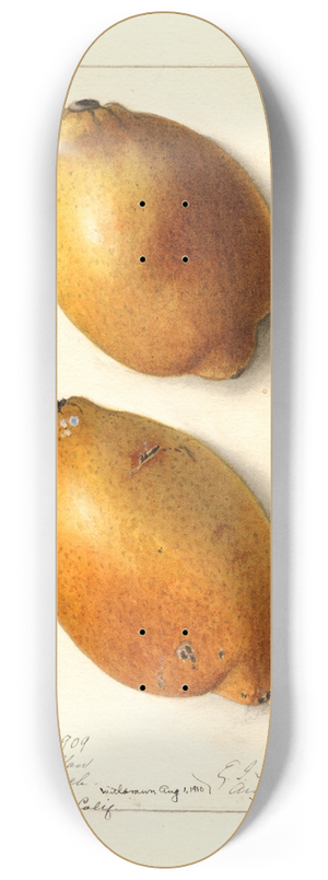 Ellen Isham Schutt - Citrus limon: Fresh Yellow 8.25 inch art skate deck