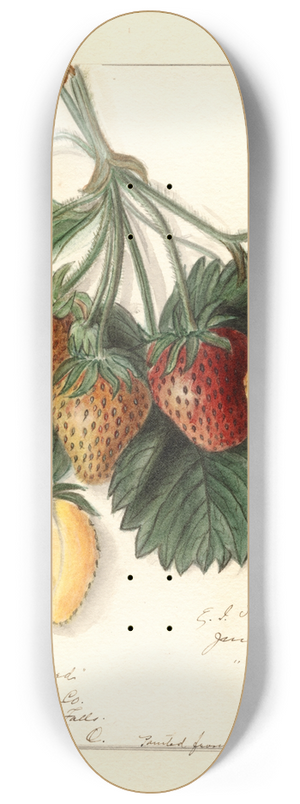 Ellen Isham Schutt - Fragaria: M 8.25 inch art skate deck