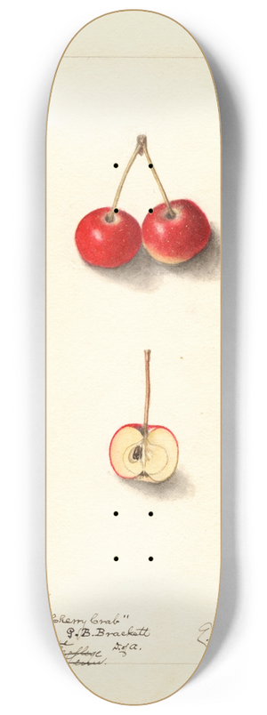 Ellen Isham Schutt - Malus: Cherry Crab 8.25 inch art skate deck