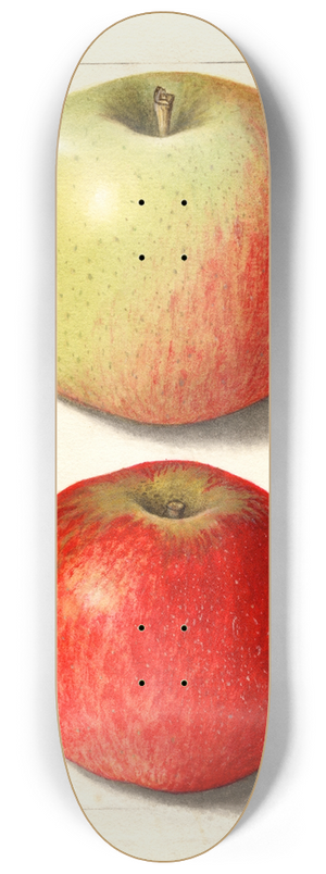 Ellen Isham Schutt - Malus domestica: Alexander Tillage 8.25 inch art skate deck