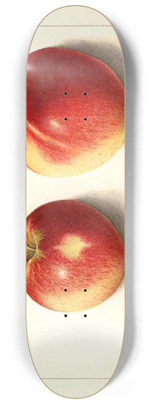 Ellen Isham Schutt - Malus domestica: Jonathan 8.25 inch art skate deck