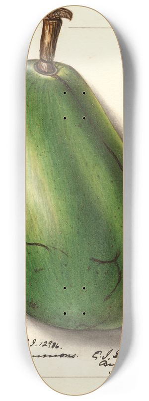 Ellen Isham Schutt - Persea: Pollock 8.25 inch art skate deck