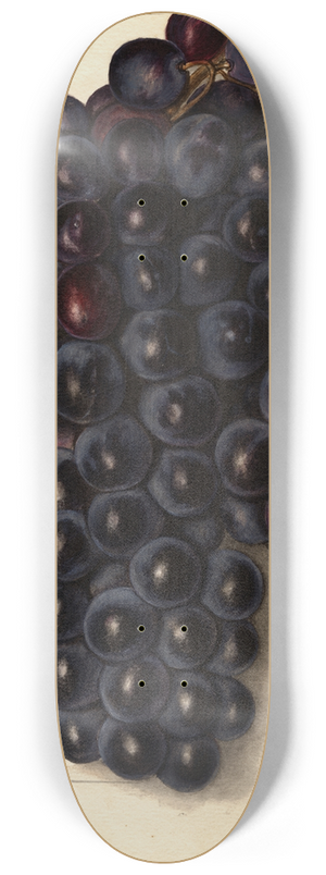 Ellen Isham Schutt - Vitis: Key 8.25 inch art skate deck