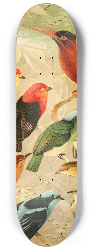 Emil August Gldi - Arirambas da matta virgem, Uir-pur diversos, Sahy 8.25 inch art skate deck