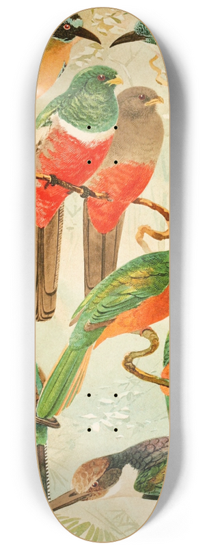Emil August Gldi - Hud, Surucus, Arirmbas da matta virgem 8.25 inch art skate deck
