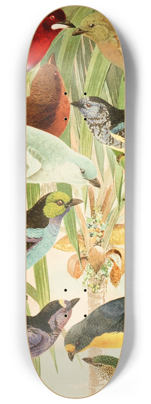 Emil August Gldi - Pipiras, Sahys, Tem-tems 8.25 inch art skate deck