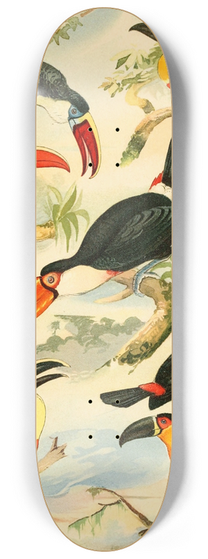 Emil August Gldi - Tucnos 8.25 inch art skate deck