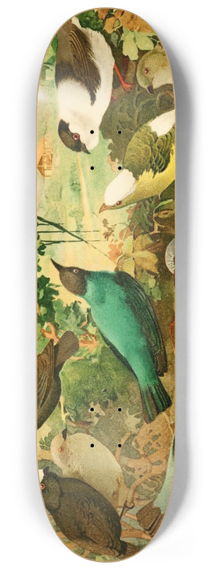 Emil August Gldi - Uir-purs, Rendeiras, Sahys 8.25 inch art skate deck
