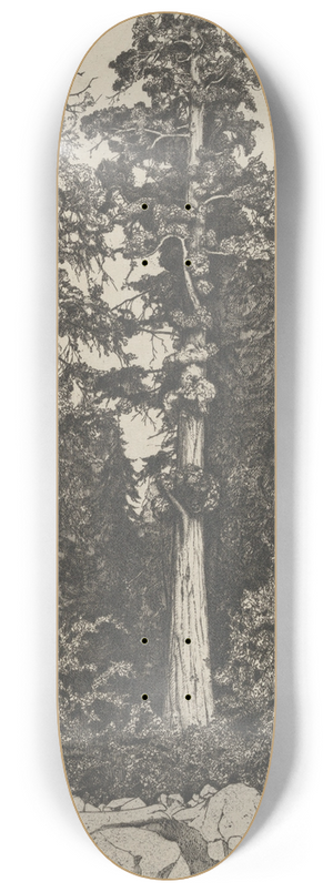 Ernest Haskell - Baby Sequoia 8.25 inch art skate deck