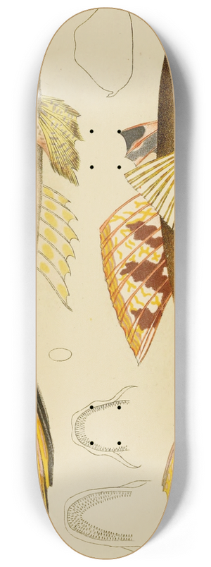 Frederick McCoy - Fishes X 8.25 inch art skate deck