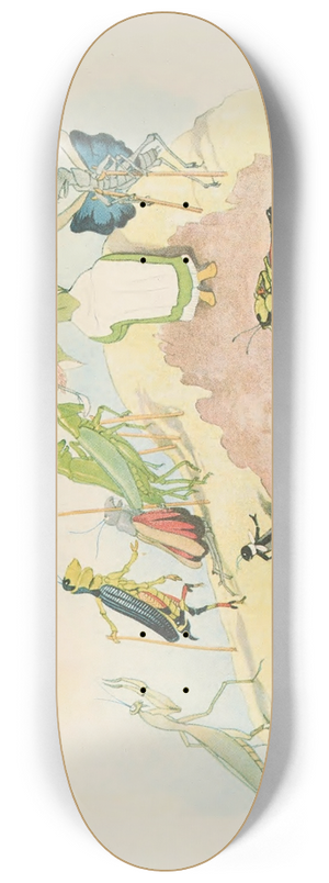 Ernst Kreidolf - Arnika 8.25 inch art skate deck