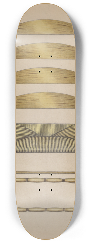 Erwin Schwabe - Armchair 8.25 inch art skate deck