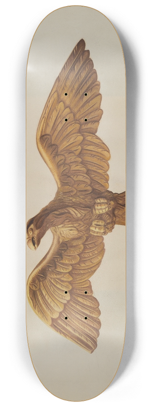 Ethel Clarke - Eagle 8.25 inch art skate deck