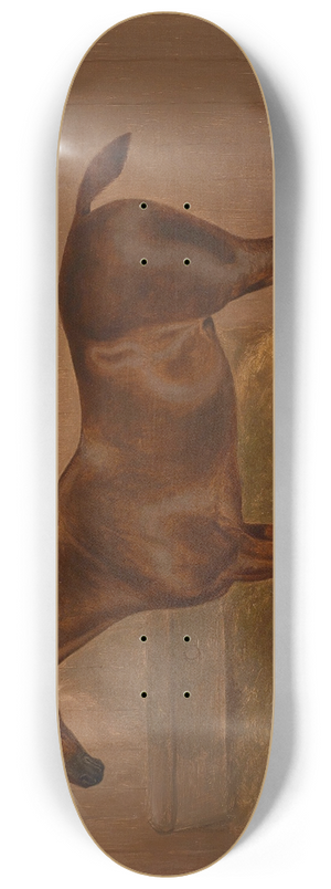 F Clifton - Pferdeportrait 8.25 inch art skate deck