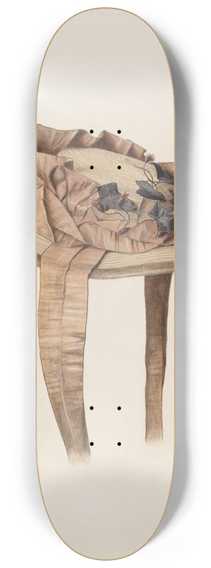 Fred Hassebrock - Bonnet 8.25 inch art skate deck