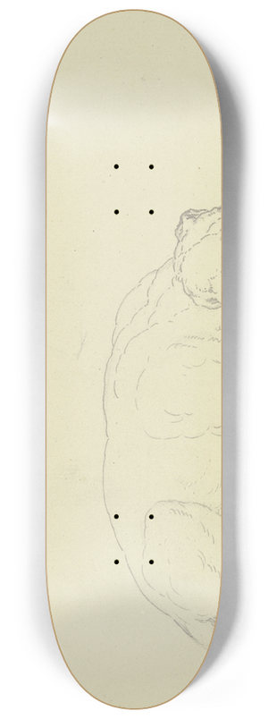 Ferdinand Fellner - Sleeping dog 2 8.25 inch art skate deck