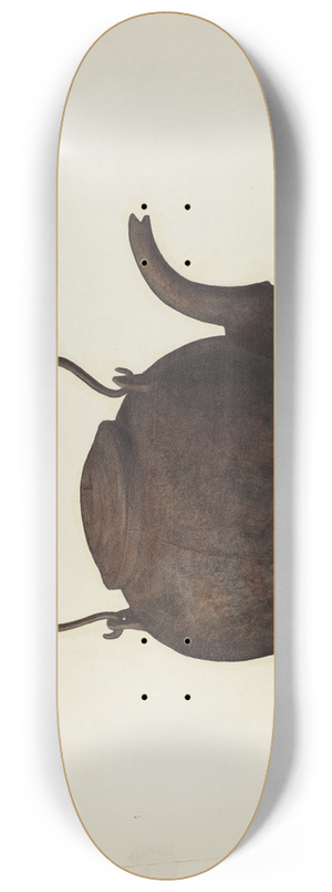 Fred Hassebrock - Tea Kettle 8.25 inch art skate deck