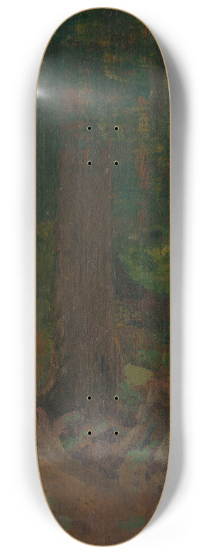 Ferdinand Katona - Study of Forest 8.25 inch art skate deck