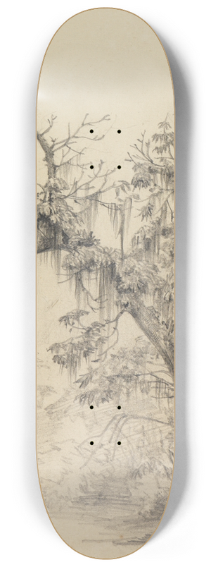 Ferdinand Keller - Baumstudie (mit herabhngenden Pflanzenfden) 8.25 inch art skate deck