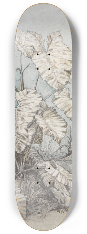 Ferdinand Keller - Blattgewchs im Urwald 8.25 inch art skate deck
