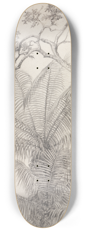 Ferdinand Keller - Palmen- und Baumstudie 8.25 inch art skate deck
