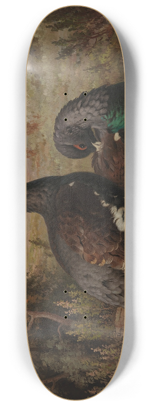 Ferdinand von Wright - Capercaillie Cocks 8.25 inch art skate deck