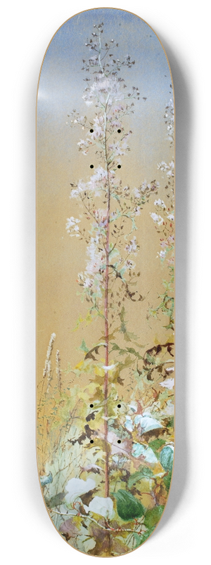 Fidelia Bridges - Untitled 8.25 inch art skate deck