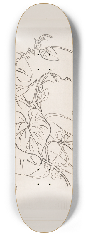 Flix Bracquemond - Assiette (volubilis). 8.25 inch art skate deck