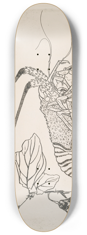 Flix Bracquemond - Grand langouste aux antennes releves 8.25 inch art skate deck