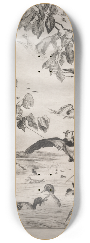 Flix Bracquemond - Lapwings and Teals 8.25 inch art skate deck