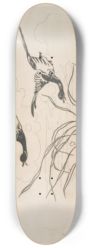 Flix Bracquemond - Les canards 8.25 inch art skate deck
