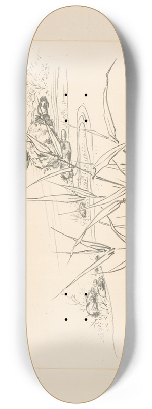 Flix Bracquemond - Oiseau sur une pierre, devant des roseaux. 8.25 inch art skate deck
