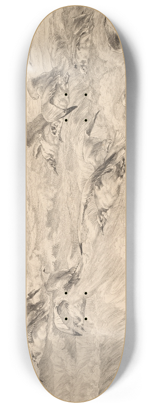 Flix Bracquemond - Seagulls (Les Mouettes) 8.25 inch art skate deck