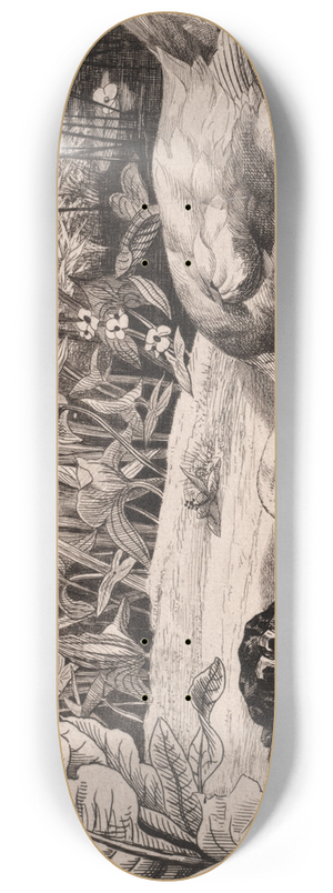 Flix Bracquemond - The Unknown 8.25 inch art skate deck