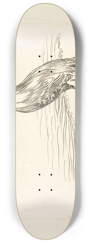 Flix Bracquemond - Un coq perch sur un seau, devant la mer. 8.25 inch art skate deck