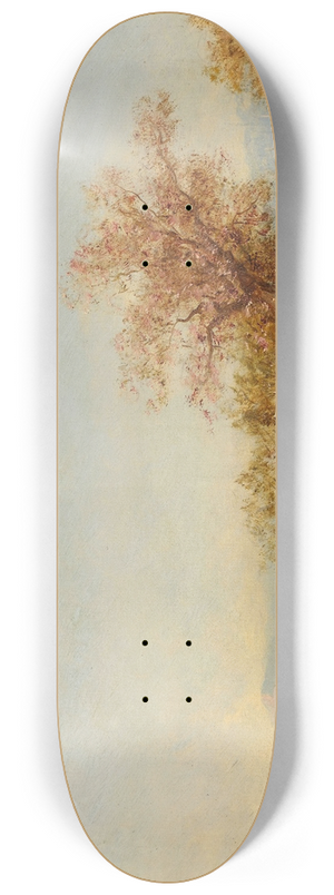 Flix Ziem - Lembouchure Du Bosphore 8.25 inch art skate deck