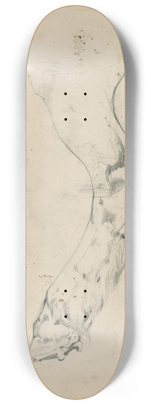 Floris Verster - Cows paw 8.25 inch art skate deck