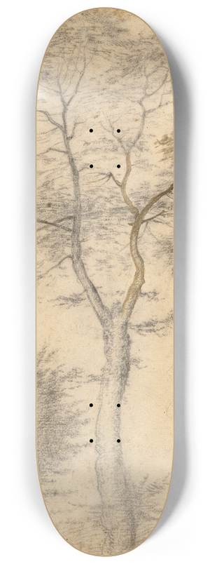 Fra Bartolomeo - Three Studies of Trees 8.25 inch art skate deck