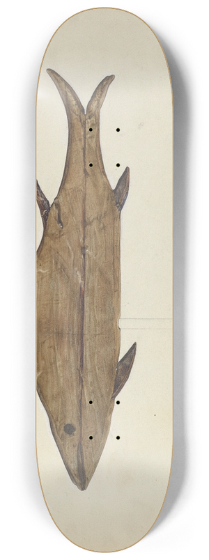 Frances Matsubara - Fish Weather Vane 8.25 inch art skate deck