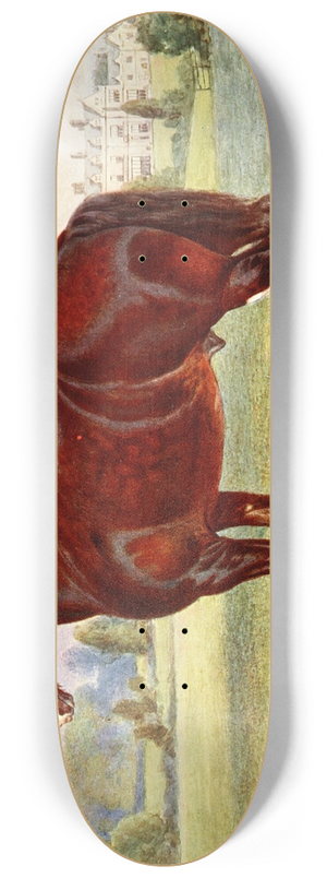 Frank Babbage - Shire Stallion, Harold 8.25 inch art skate deck